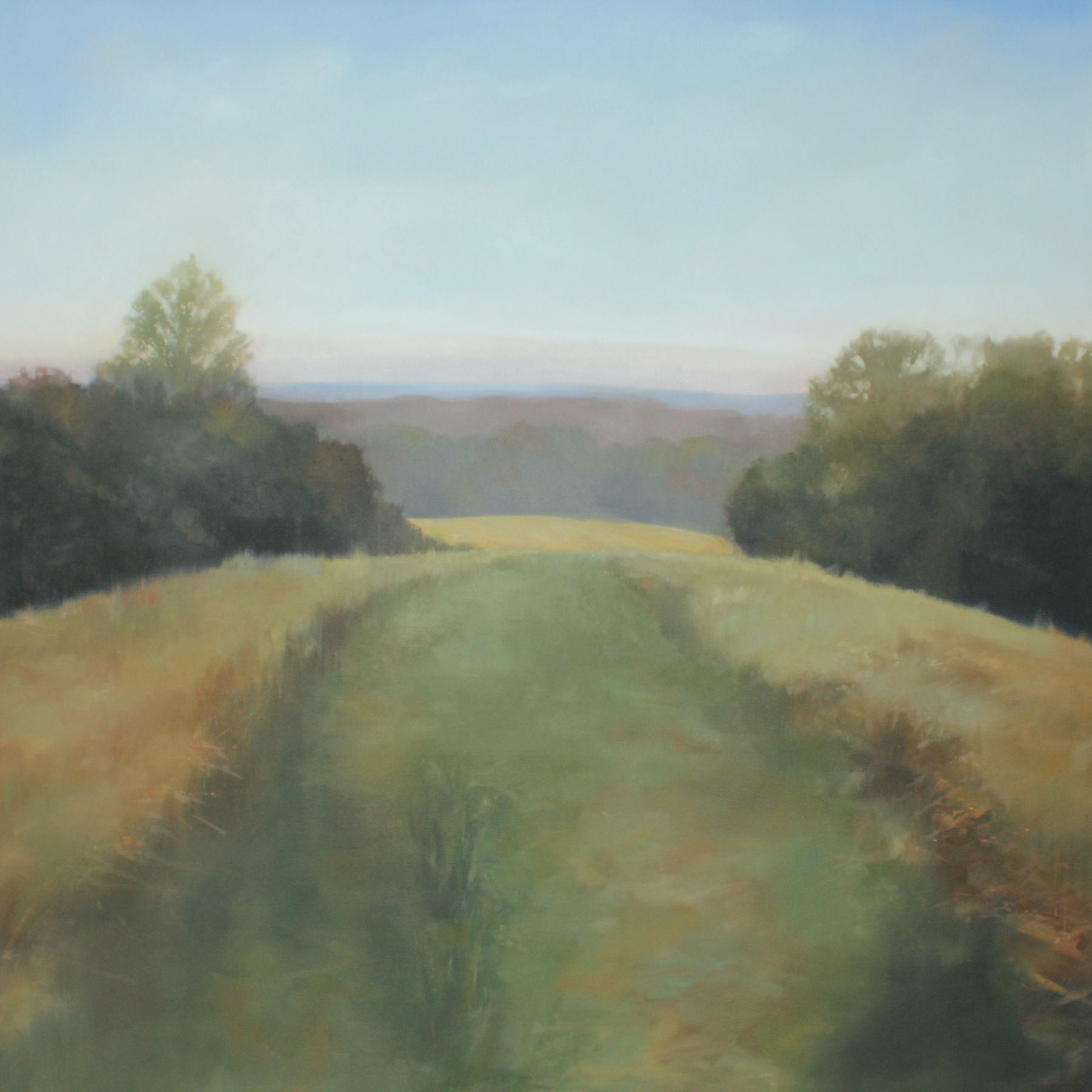 Sycamore Springs Farm Hilltop, oil on canvas over panel, 48 x 48 x 2.5 in