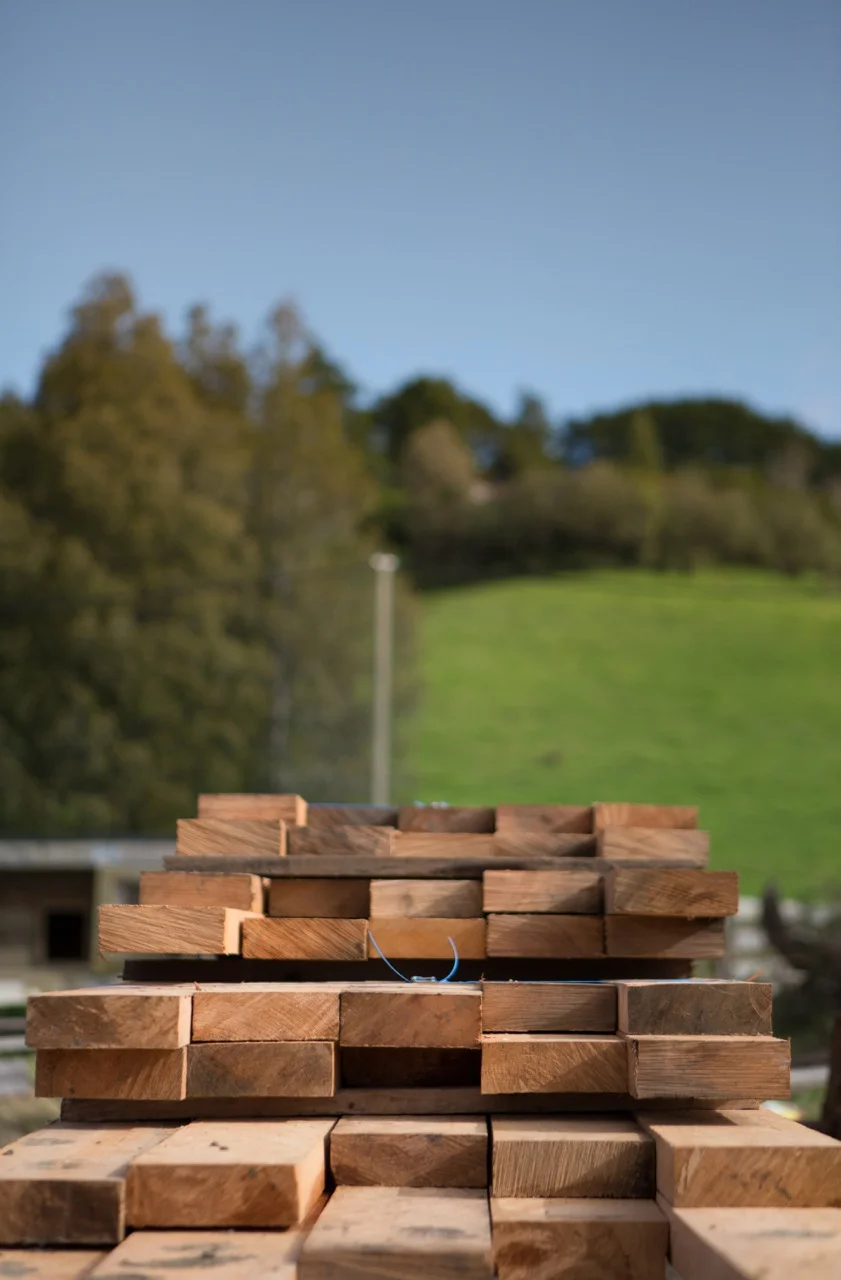 Introduction — New Zealand Riverwood