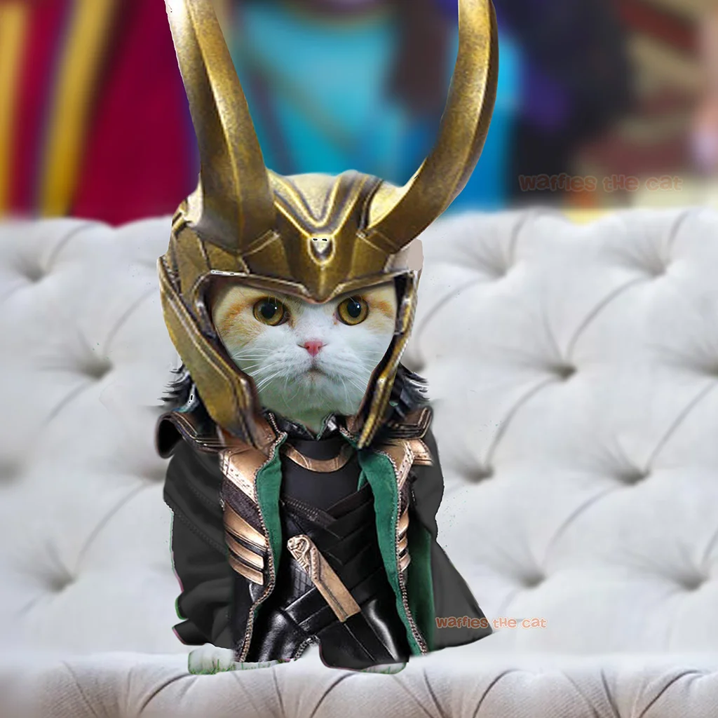 Waffles the Cat in Avengers Costumes — Waffles the Cat