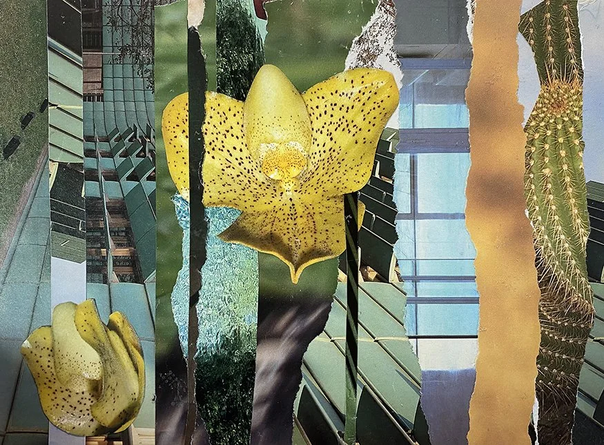 Golden Orchid