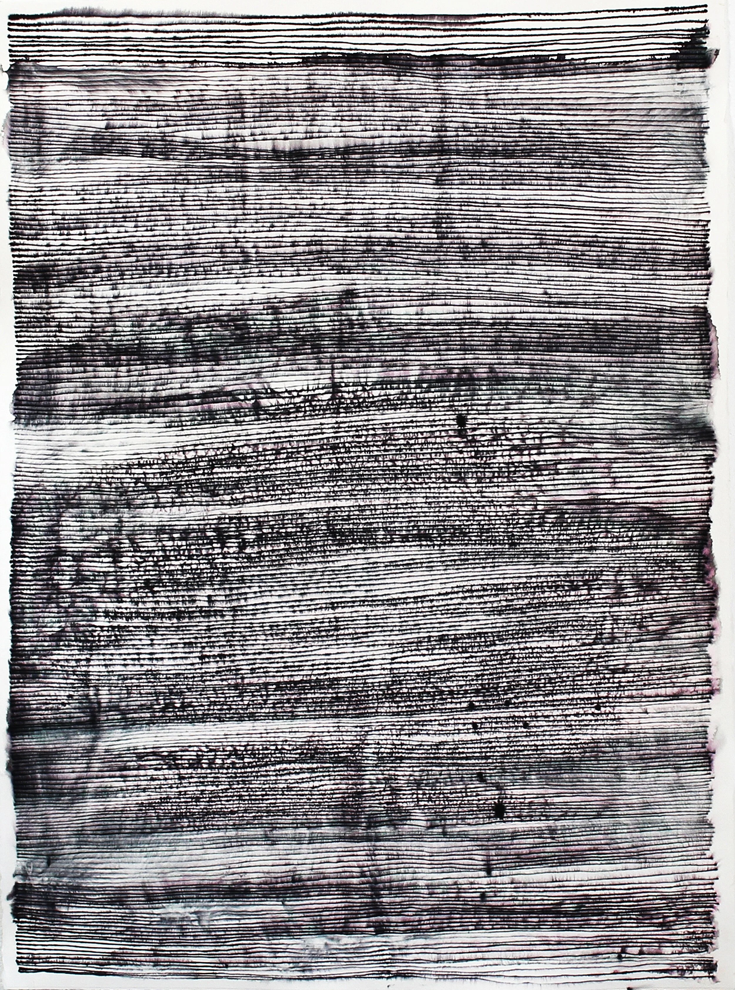 Untitled 1 (trope), 2011