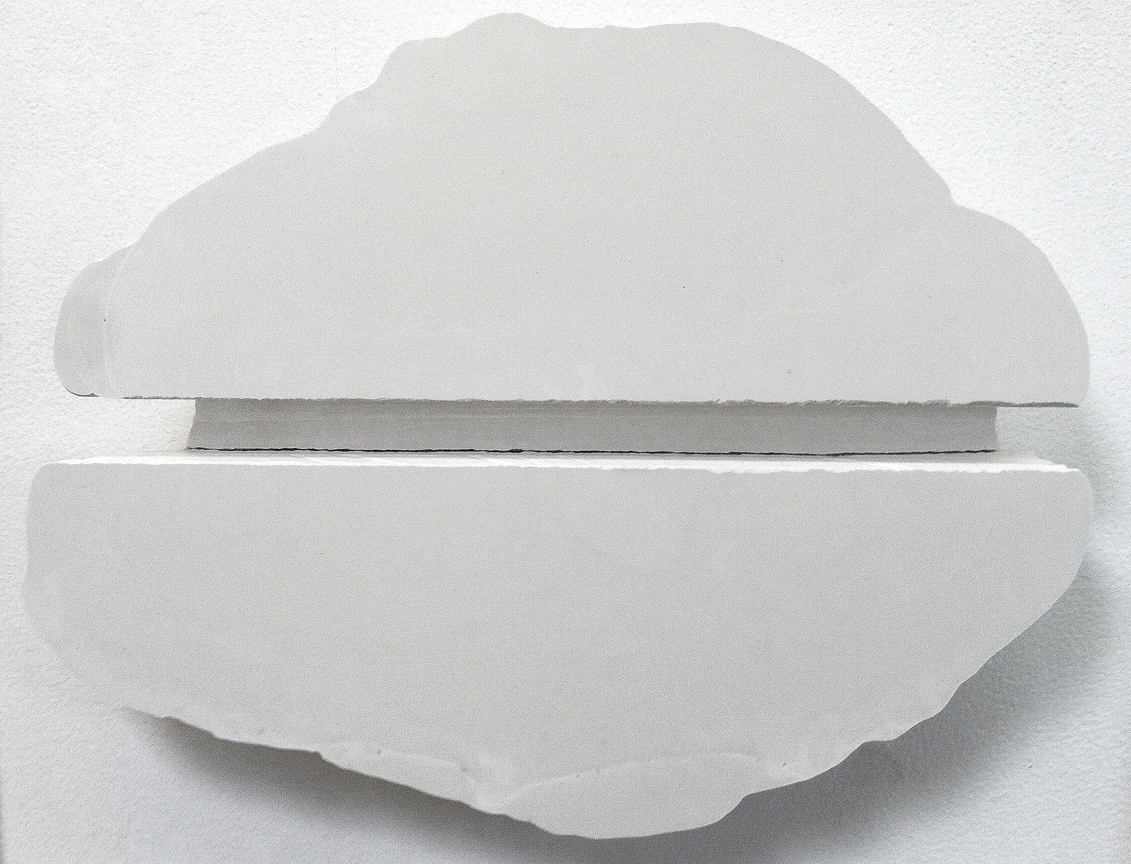 Untitled 2 (trope), 2011