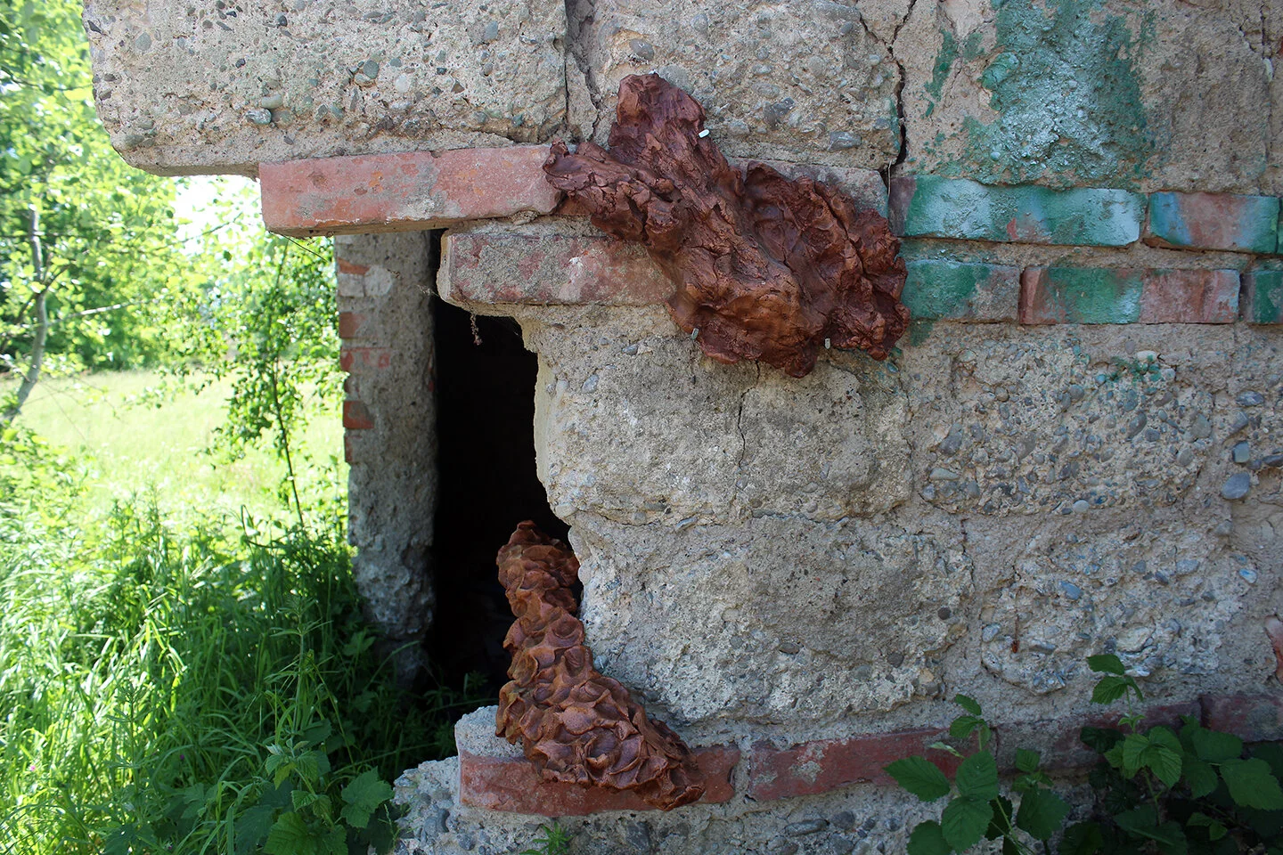 14.JPG