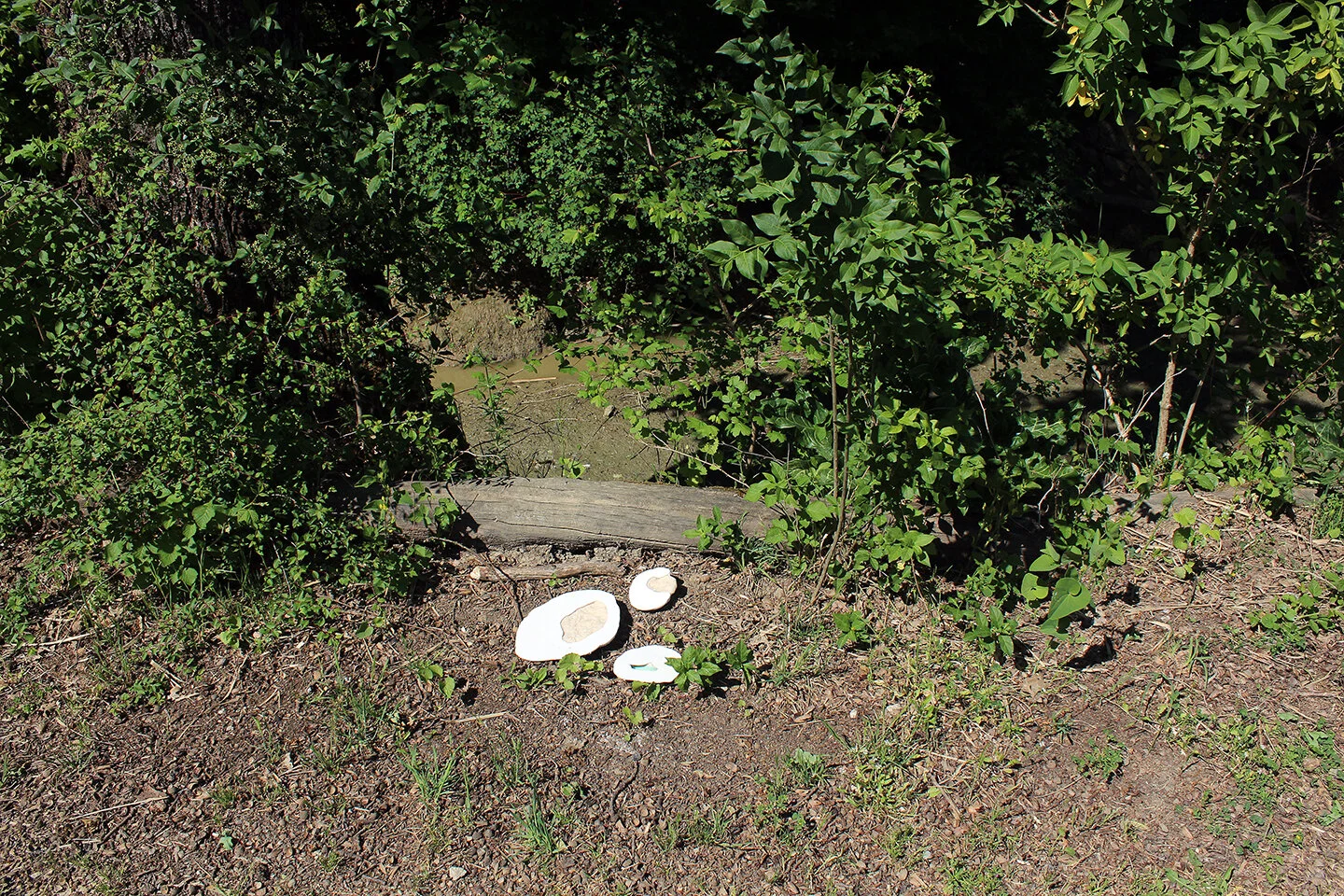 39.JPG