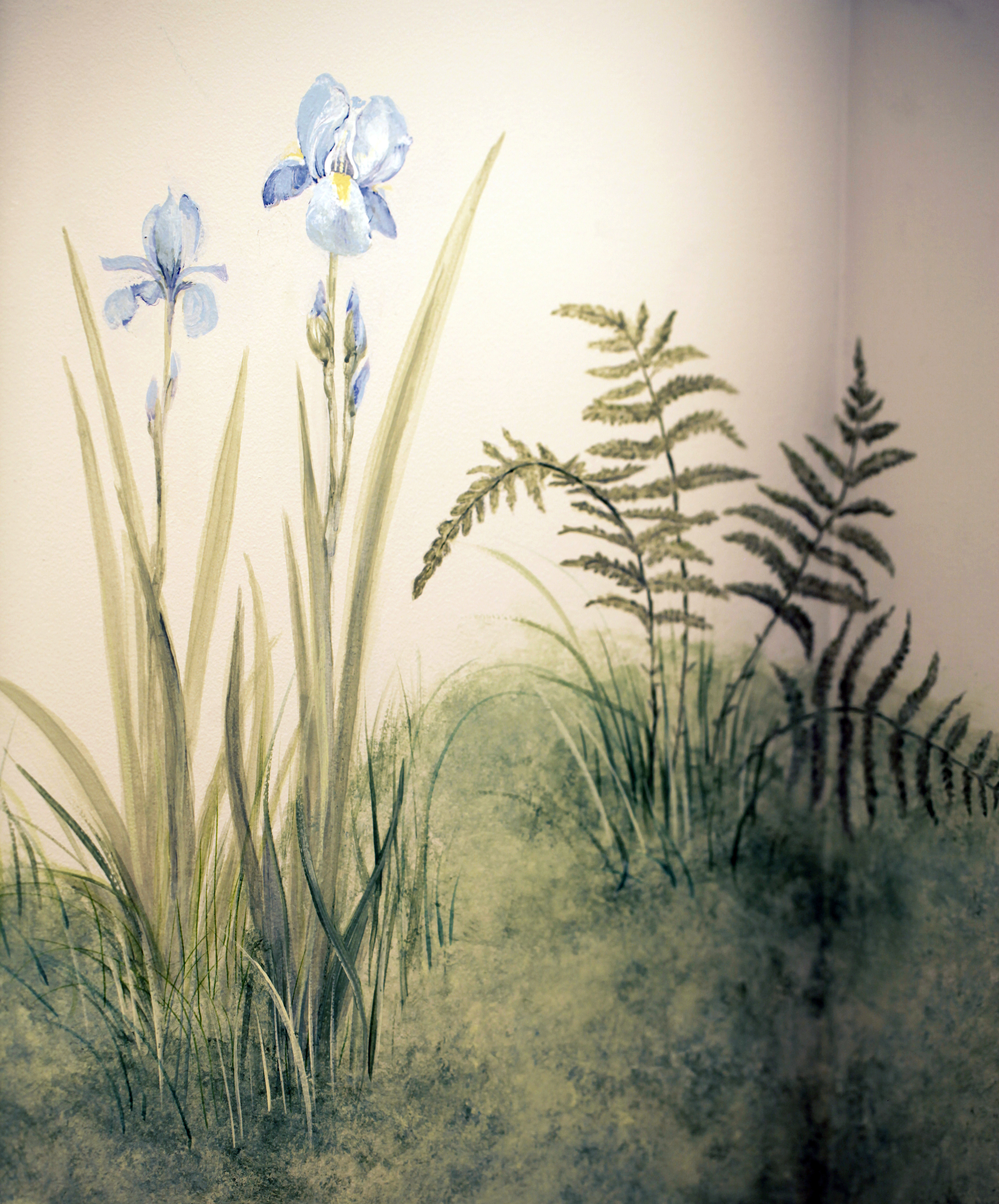 Iris and ferns2.jpg
