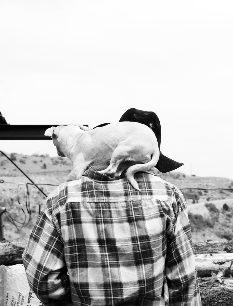 - Clarkdale, AZ -