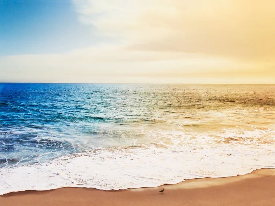 - Malibu, CA -