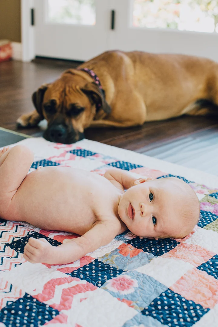 20150427_grayson_0209.jpg