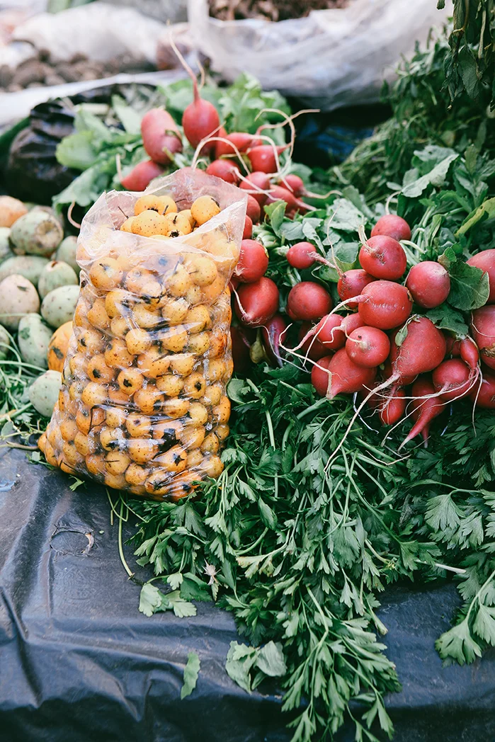 - Guanajuato, MX -