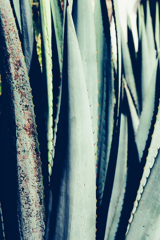 - San Miguel De Allende, MX -