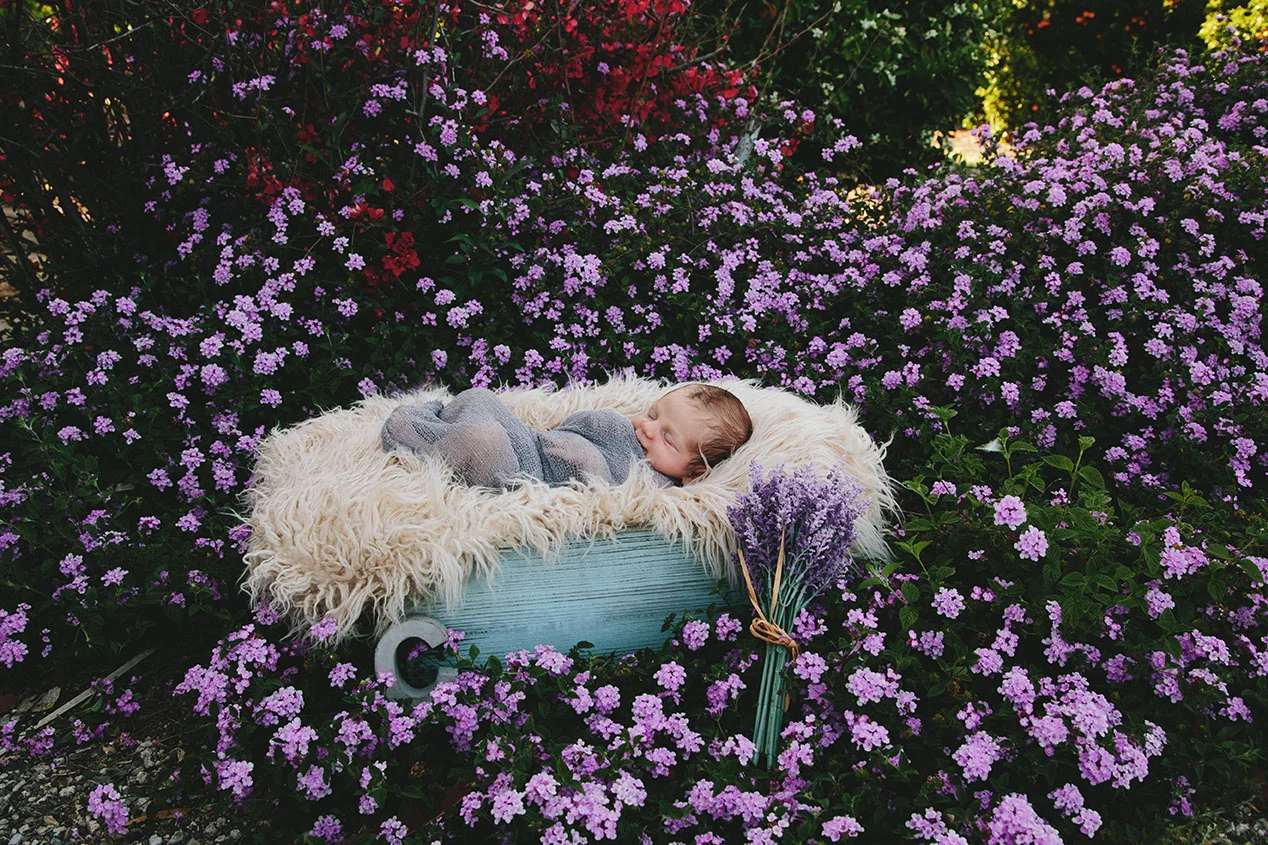 20180413_baby-callan-seltzer_1684.jpg