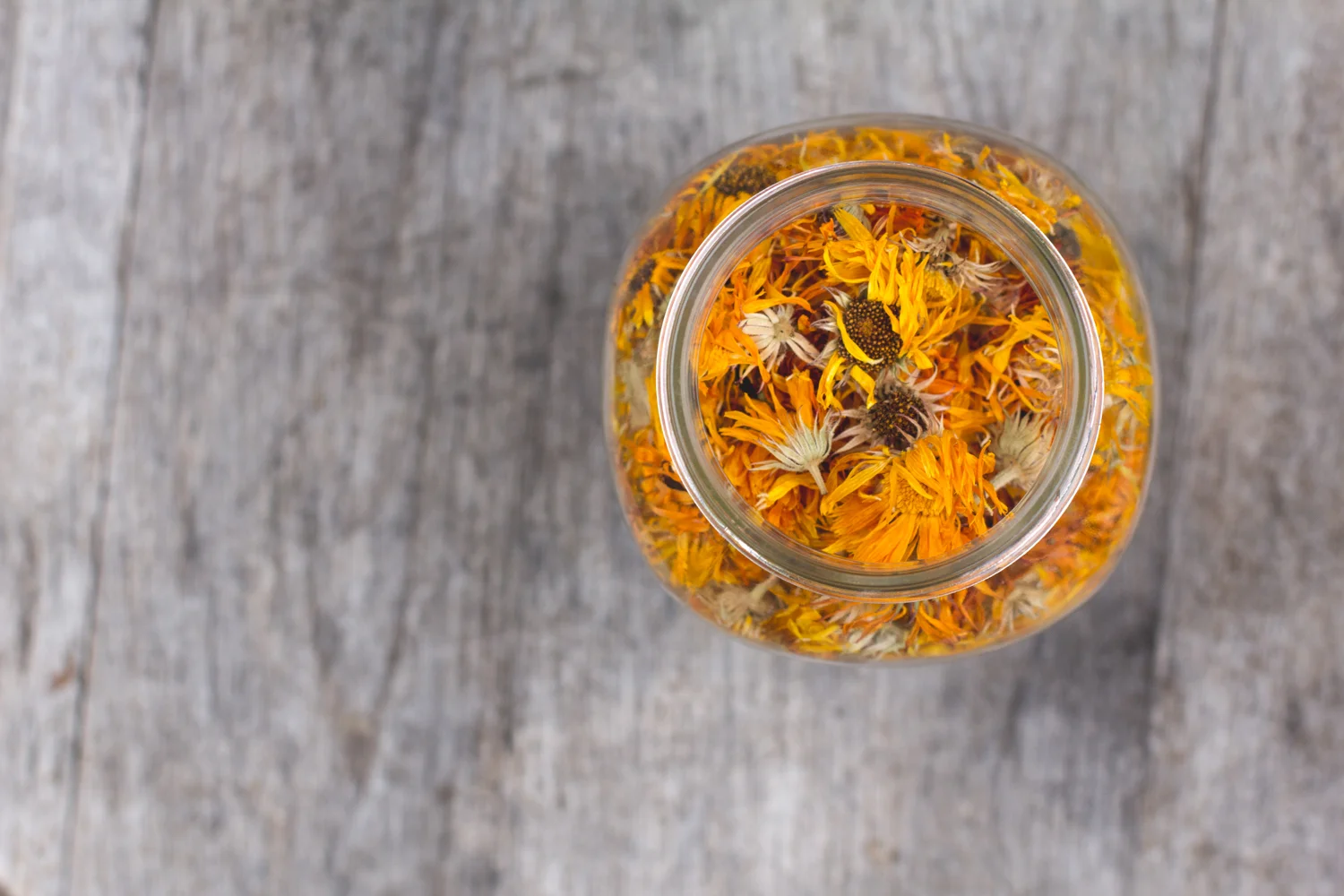 Calendula Flowers