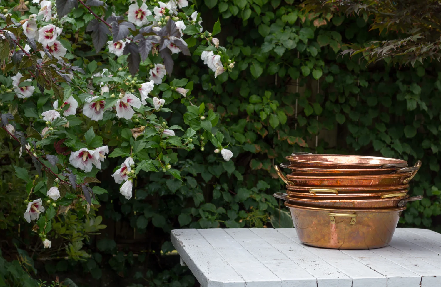 Le Meadows Copper Pans