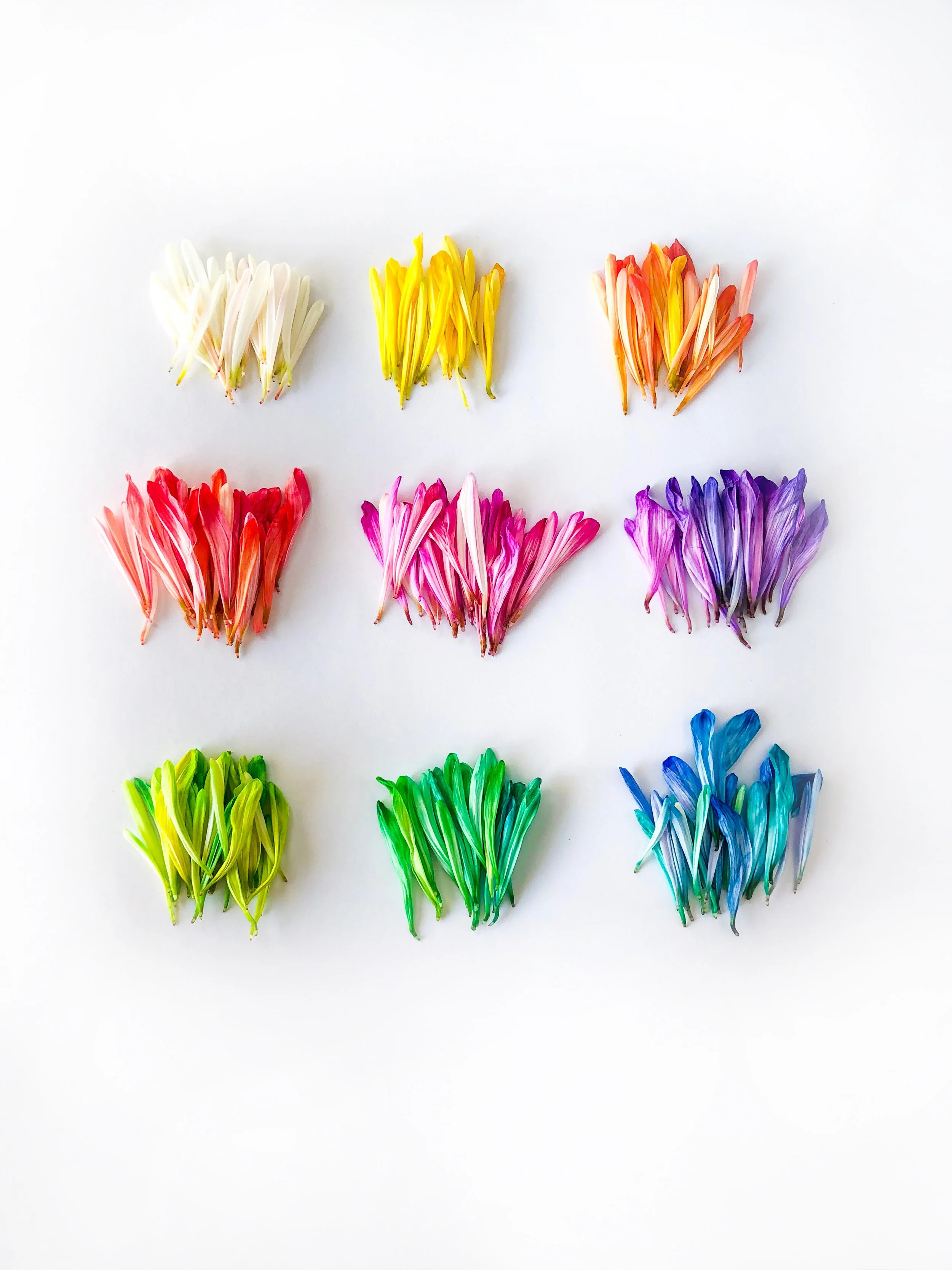 Separate togetherness… We shall overcome this, and can make your space beautiful in the meantime.