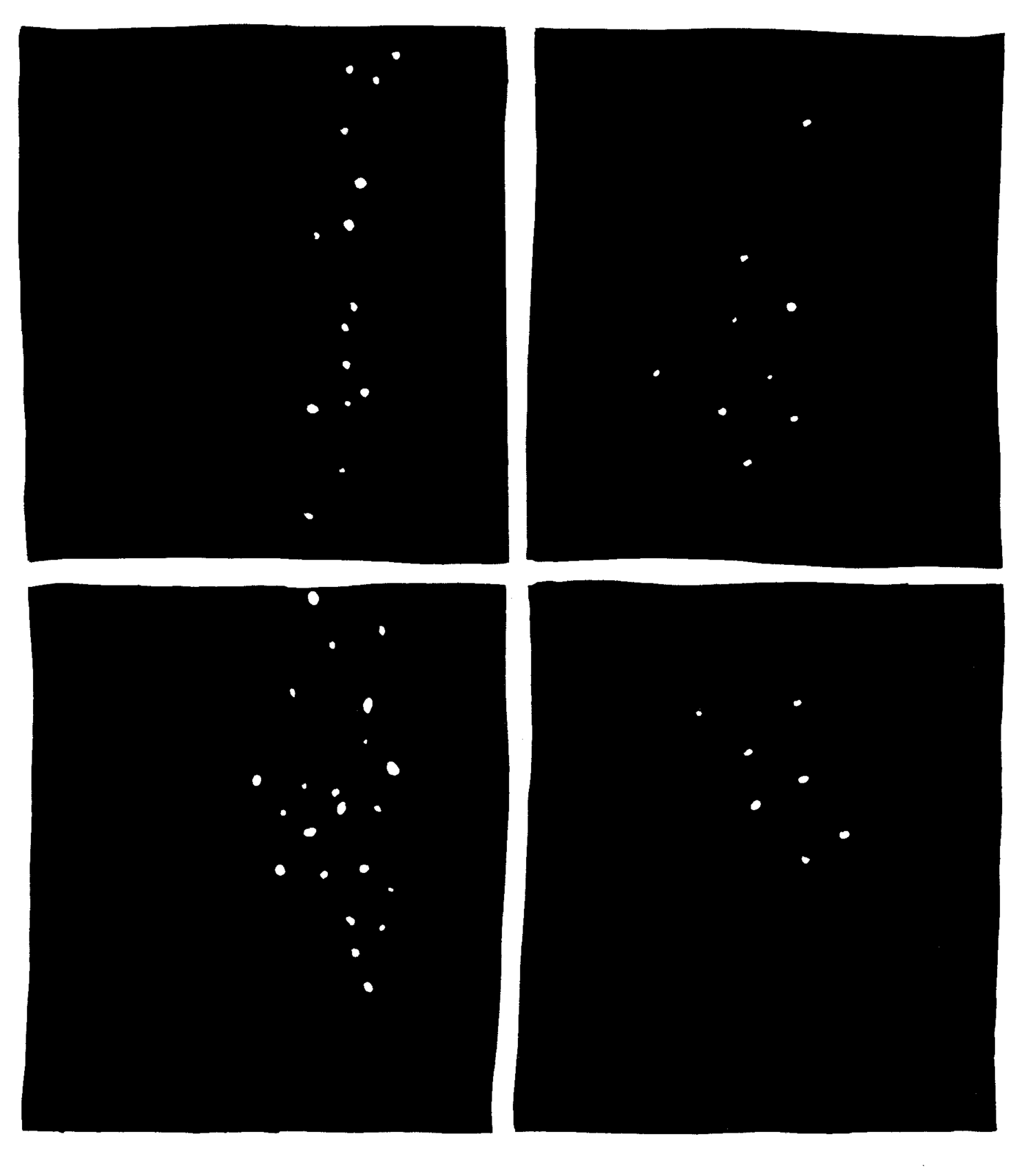 page19.png