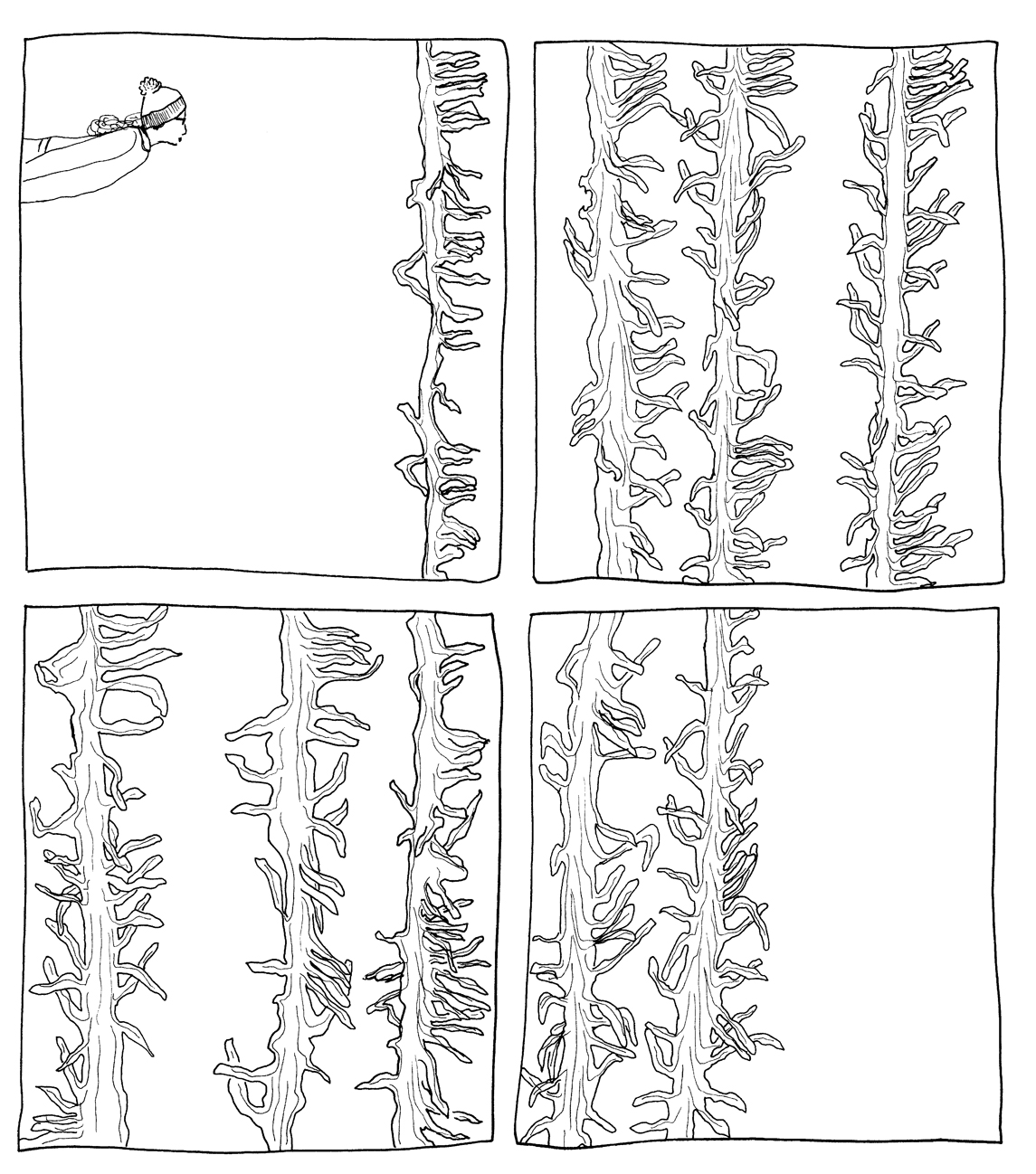 kelpforest.jpg
