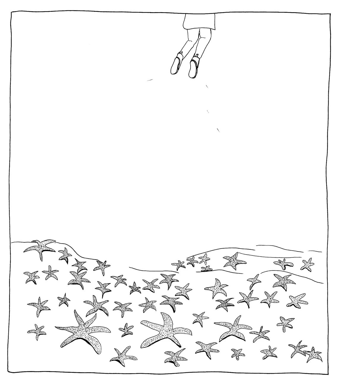 starfishbed.jpg