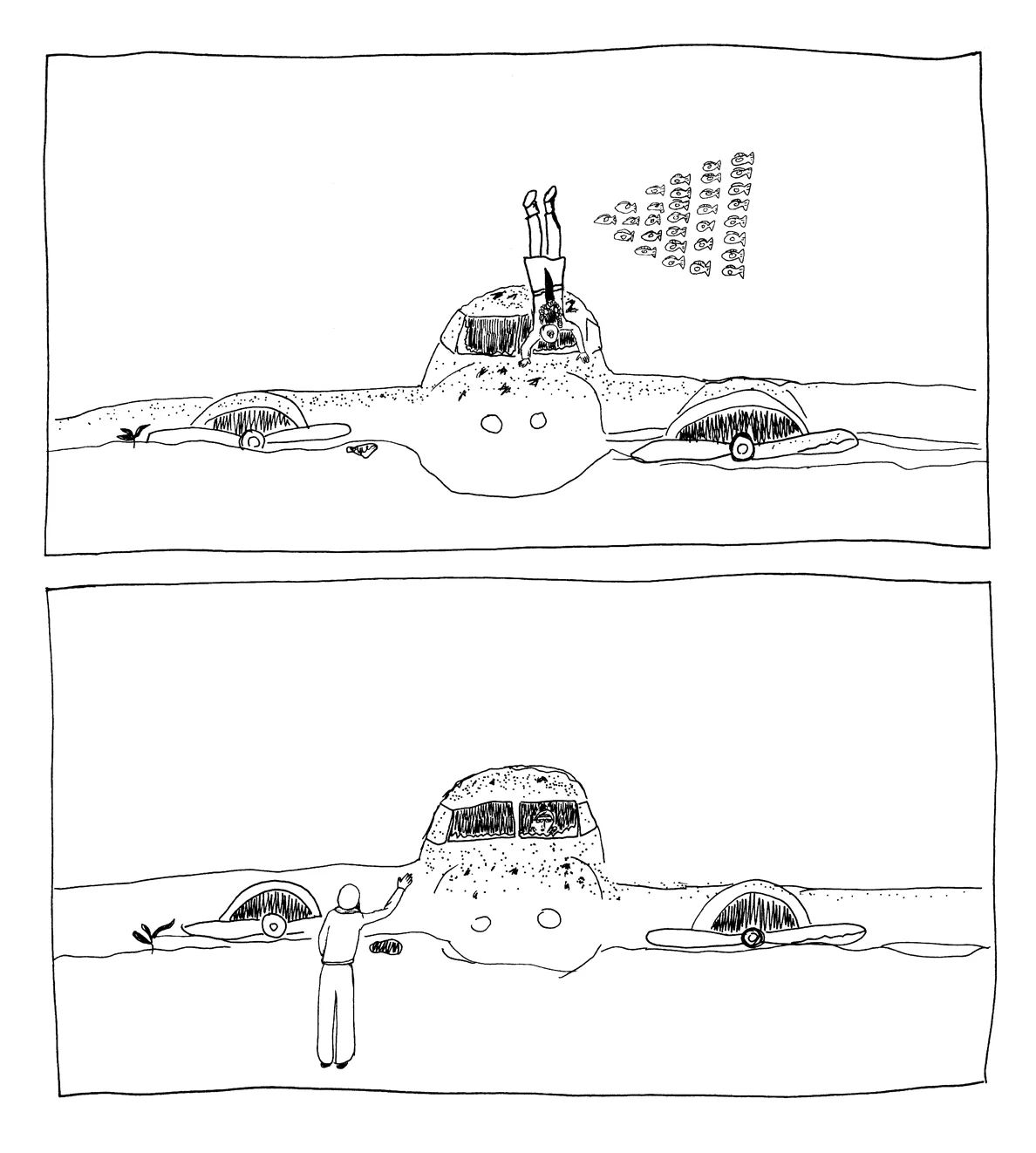 ameliasplane.jpg