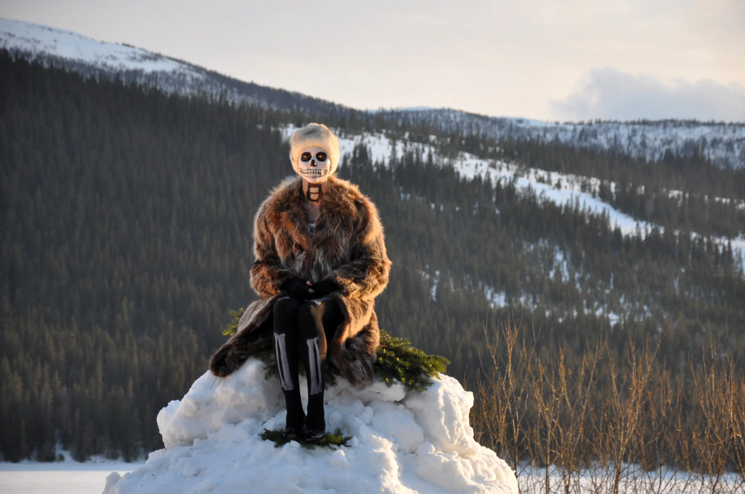Death Waiting (dusk)_photographer Elisabet Rydell-Janson.jpg