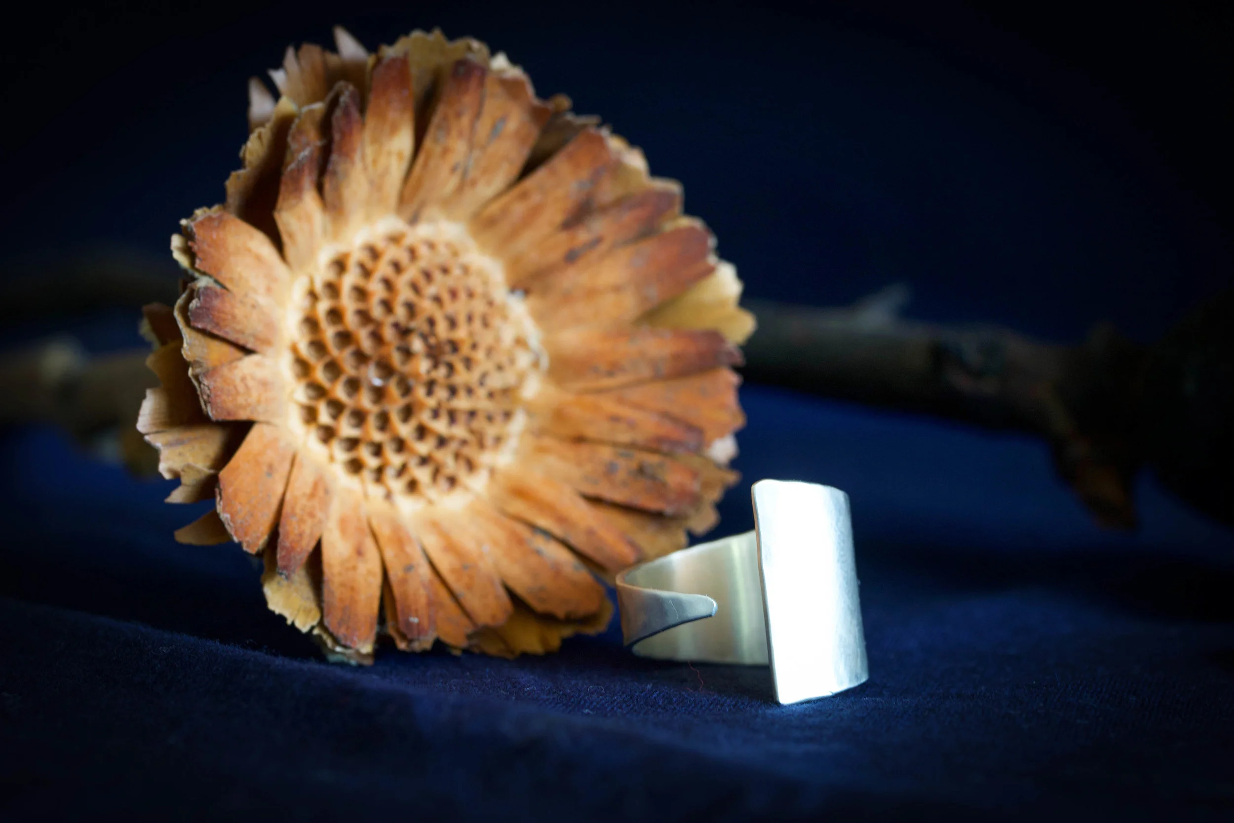 RMG Collection IX Carson ring.jpg