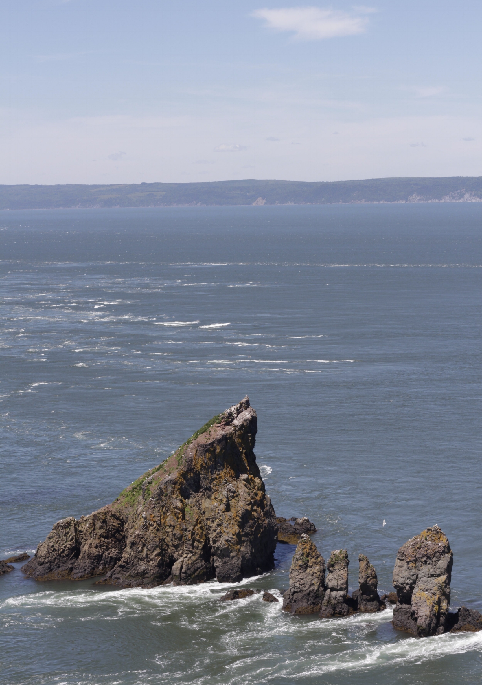 looking out from Cape Split