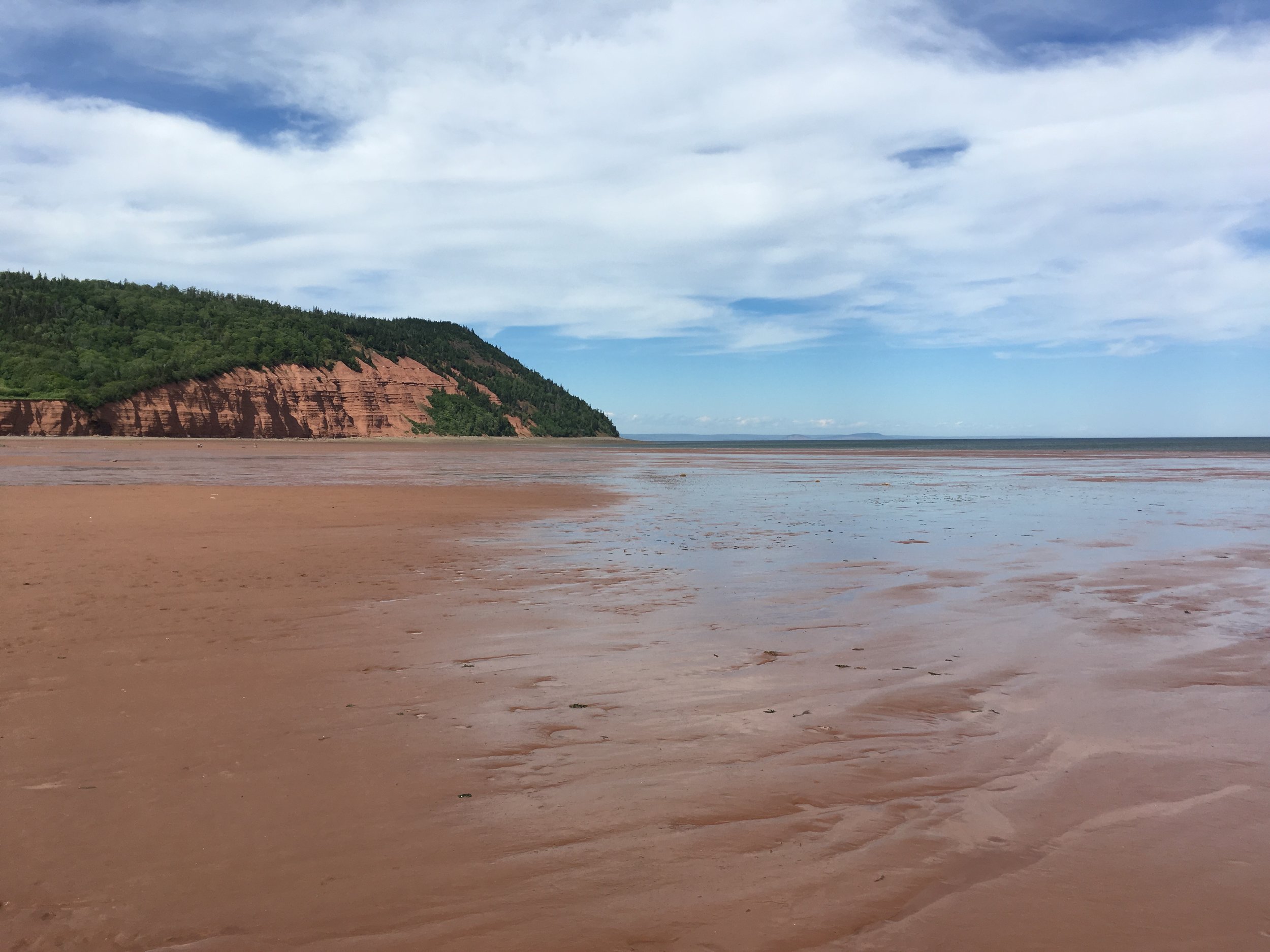 the cliffs at Blomidon