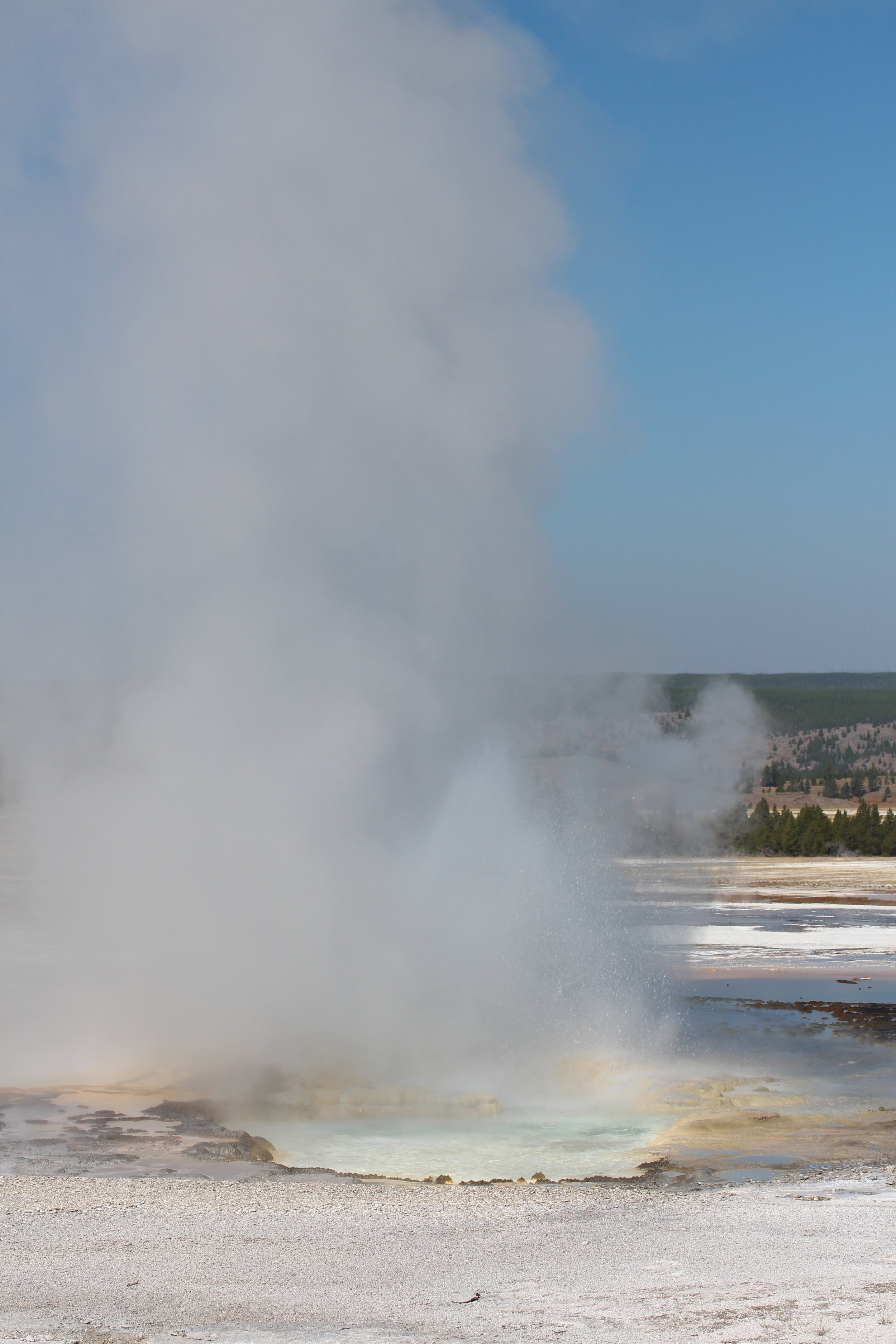 Clepsydra Geyser in Yellowstone National Park, Wyoming