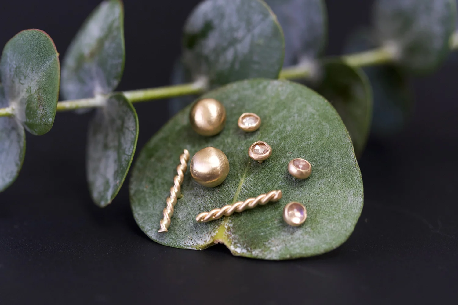 leaves and studs small.jpg