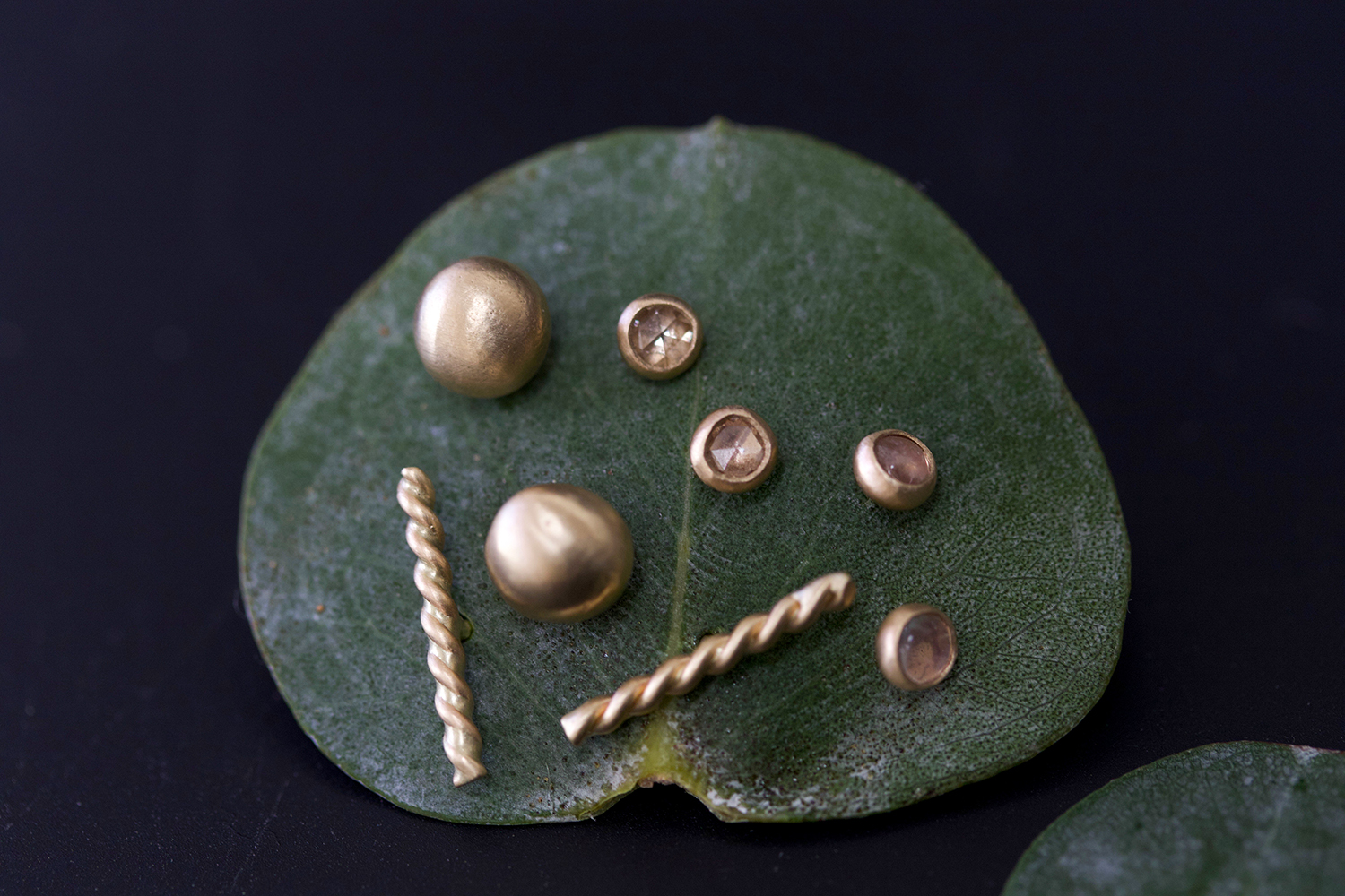 studs on leaf small.jpg