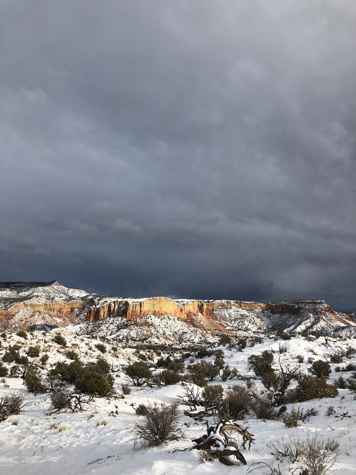 New Mexico, 2018
