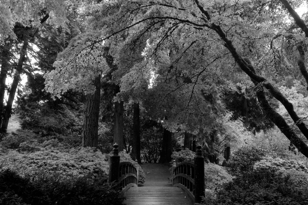 Portland Oregon Ilford Pan F 50 020