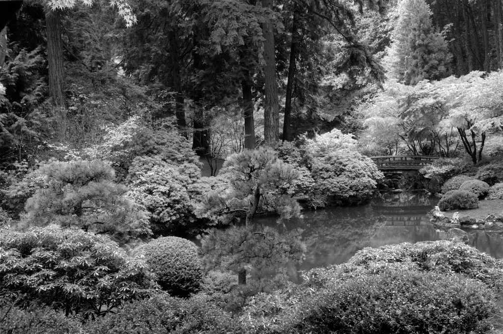 Portland Oregon Ilford Pan F 50 021