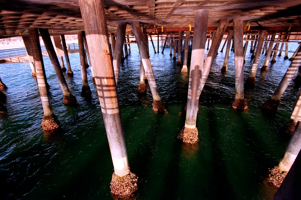 Santa Monica Pier Kodak Ektar 007