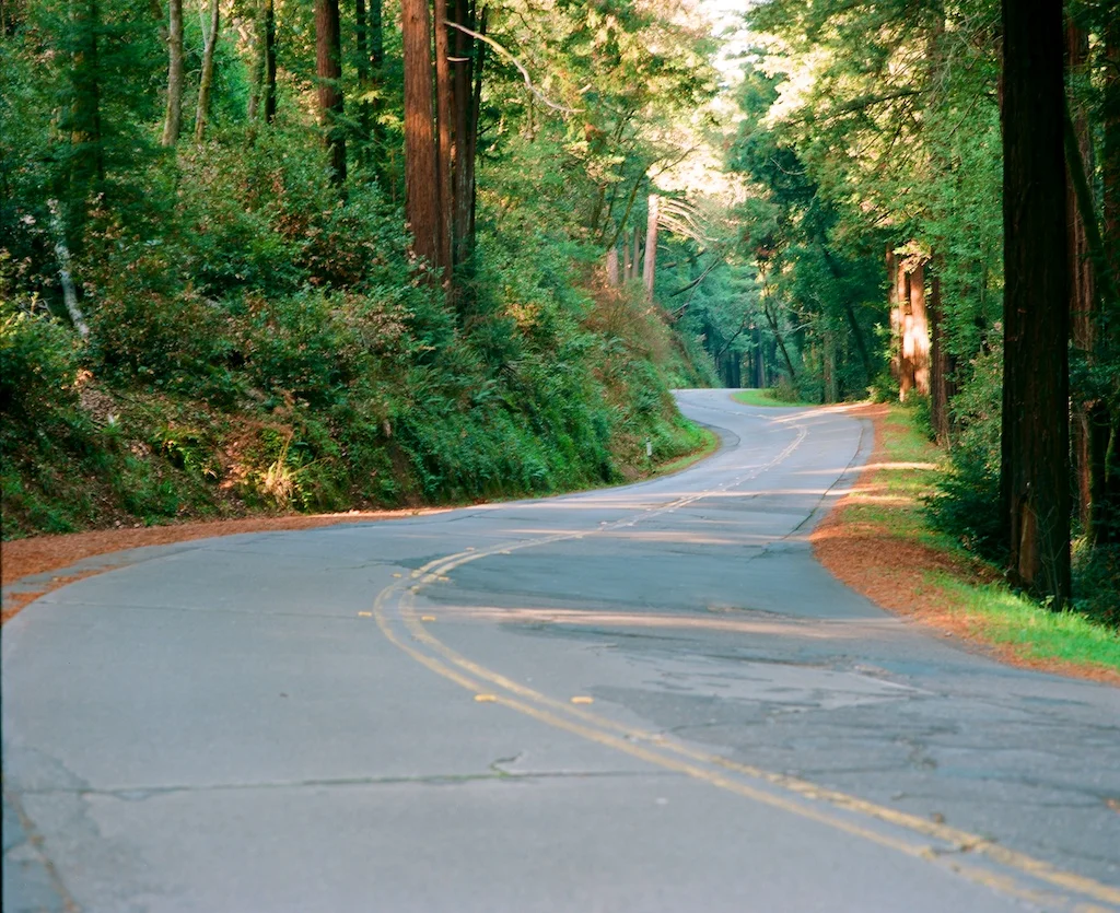 Roll 35 - Mamiya RB67 - Kodak Ektar 6