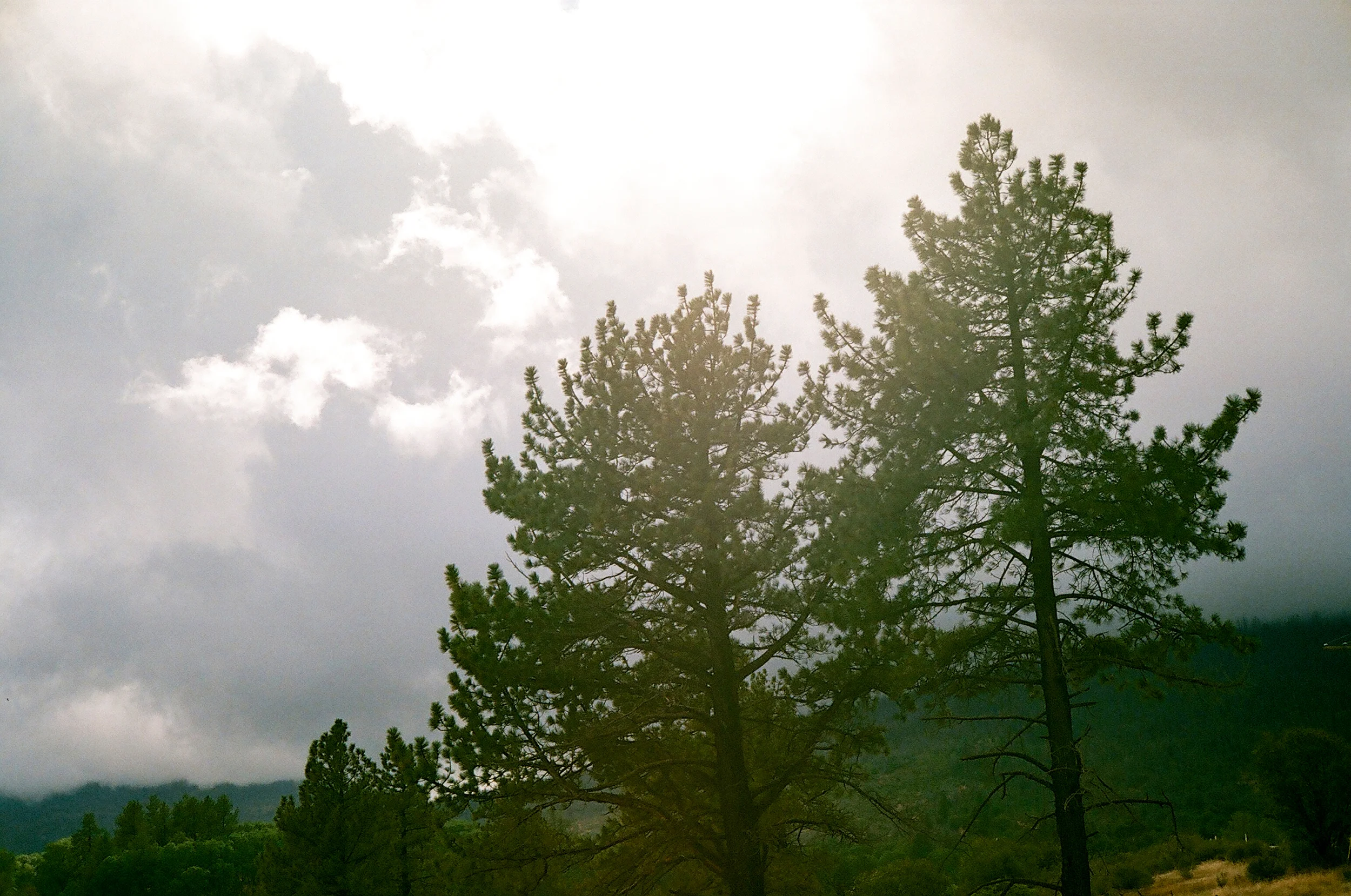 Yashica Electro 35 GS - Memories 200