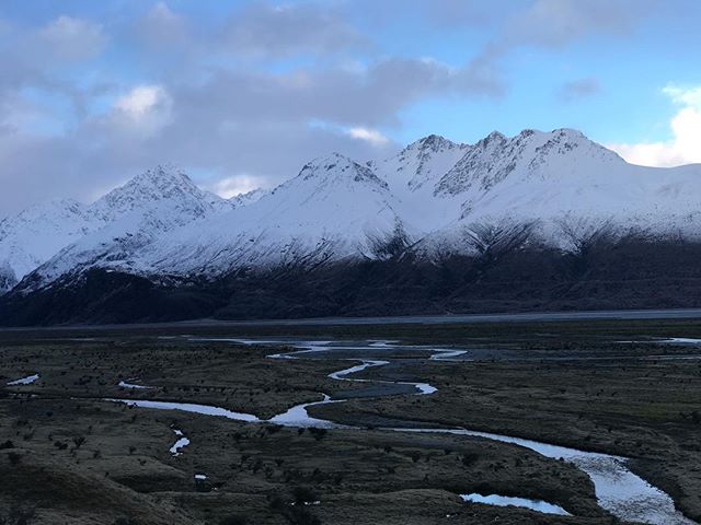 New Zealand: Day 3. Today we saw a tree in a lake, played with a strange dog (don't tell Polly) and drove to the #MountCook mountain range. Once again we saw two completely different views within an hour or so. This view was all clouds when we first 