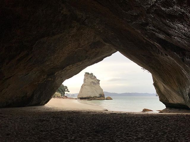 New Zealand: Day 8. Well today's our last full day here and we spent it exploring the coast of the north island. We first made our own personal hot spring at Hot Water Beach and then made it to Cathedral Cove. NZ has been wonderful and tomorrow we pu
