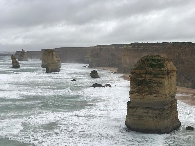 Australia: Day 2. Today we visited a few locations we missed yesterday (due to excessive time with birds). This is a photo of the #12apostles and it's incredible. I've always loved rocks standing in water which is why I enjoy the Portland coast so mu