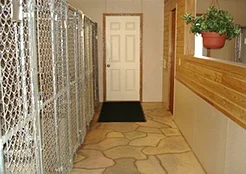 The Kennels