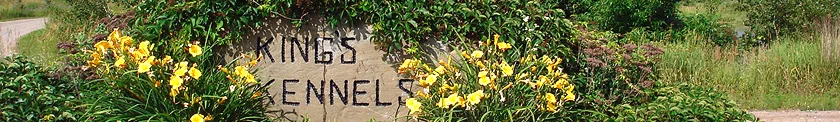 Banner3.jpg