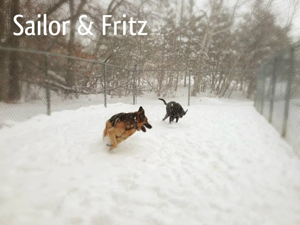 Sailor & Fritz.jpg