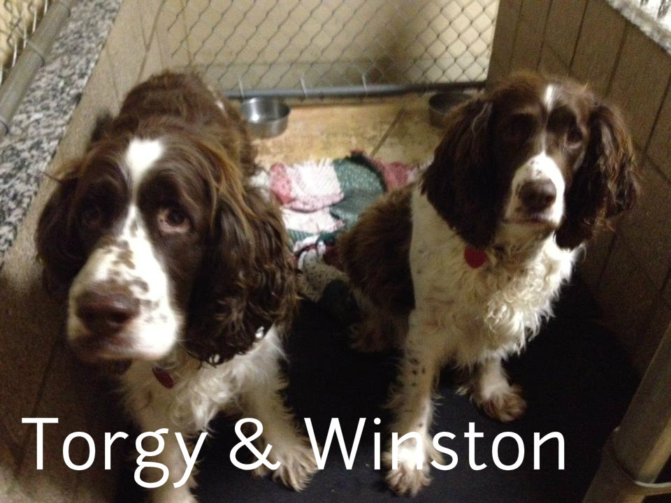 Torgy & the late Winston.jpg