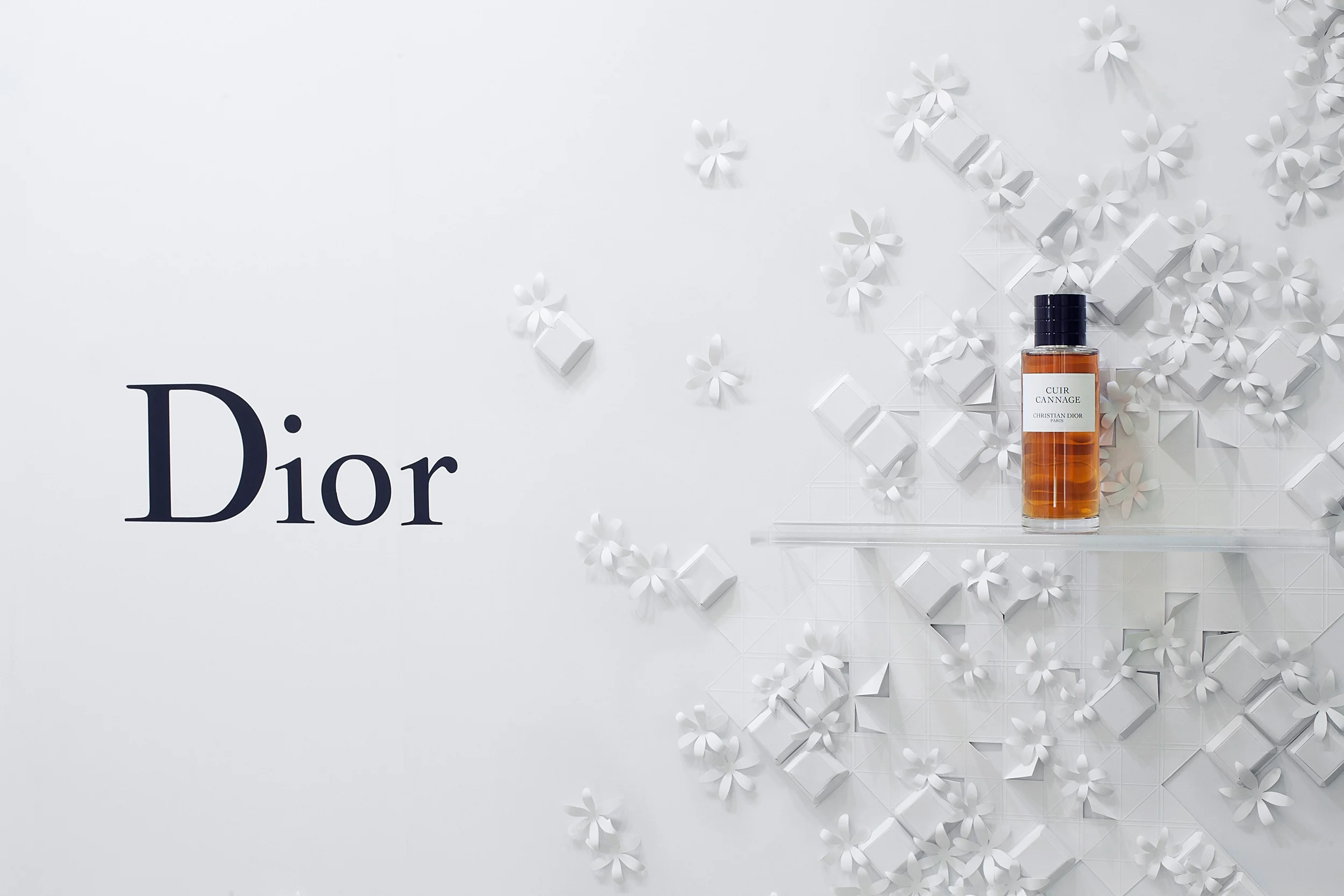 DIOR_BERGDORF_GDMN-112.jpg