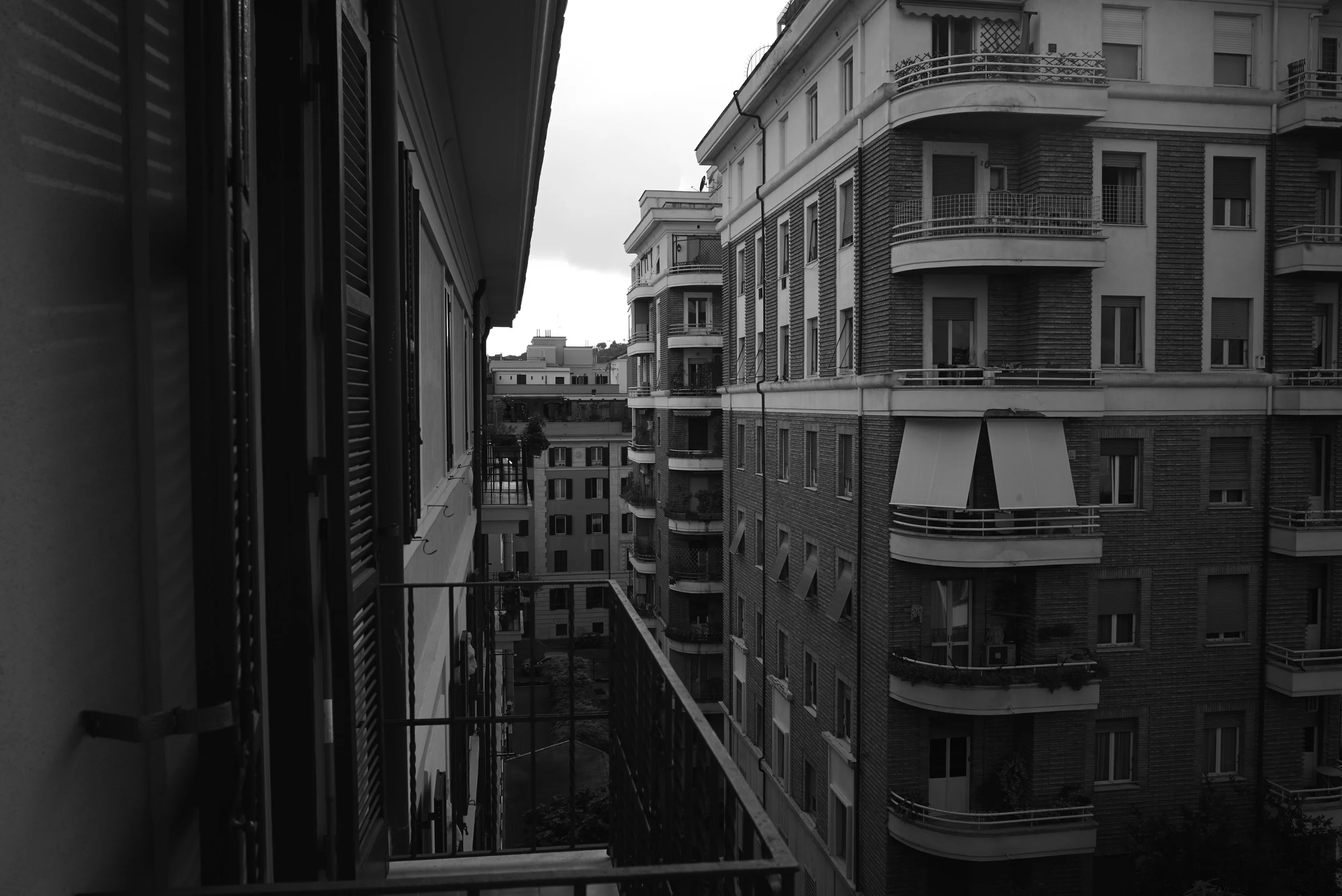 L1006911.jpg