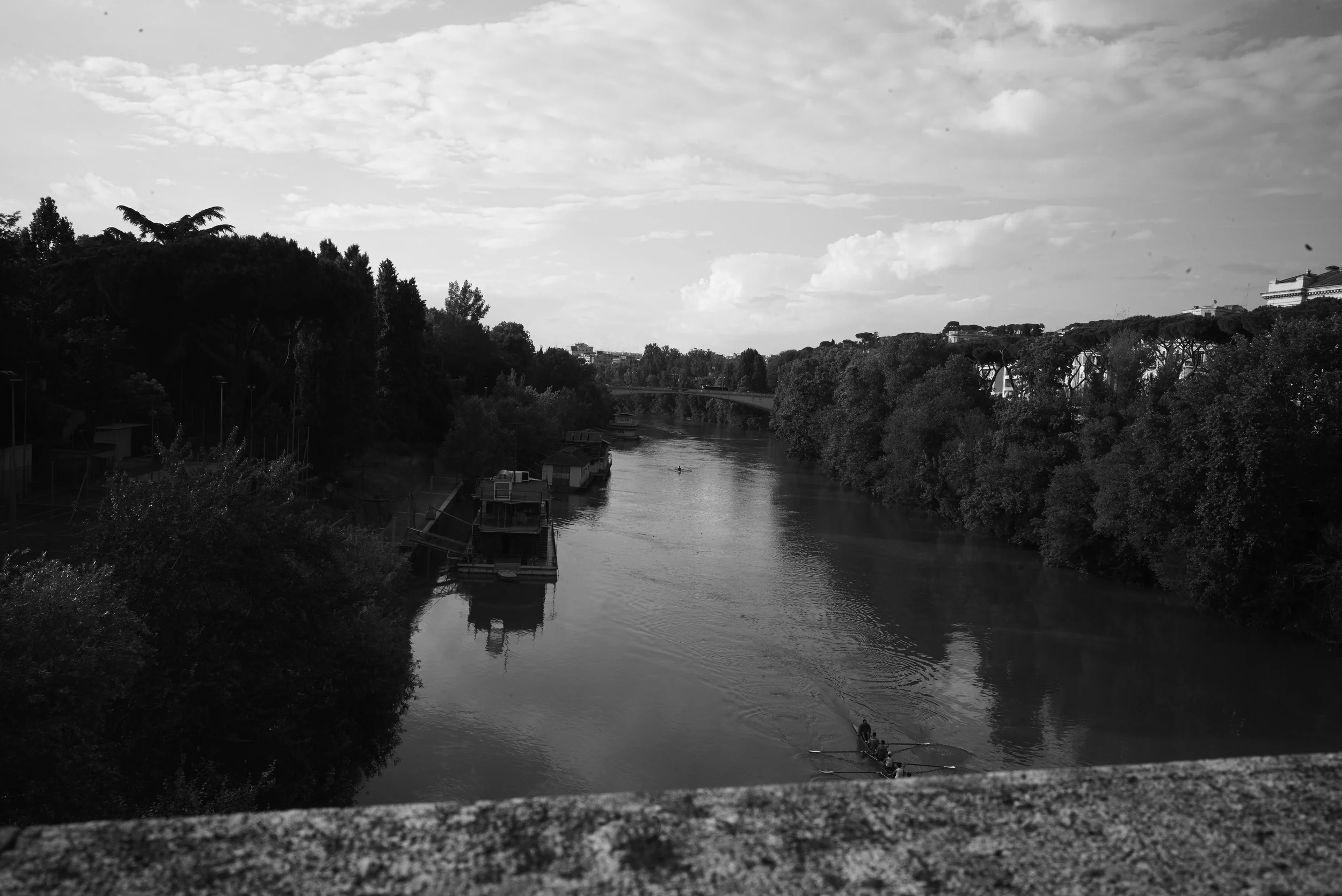 L1006935.jpg