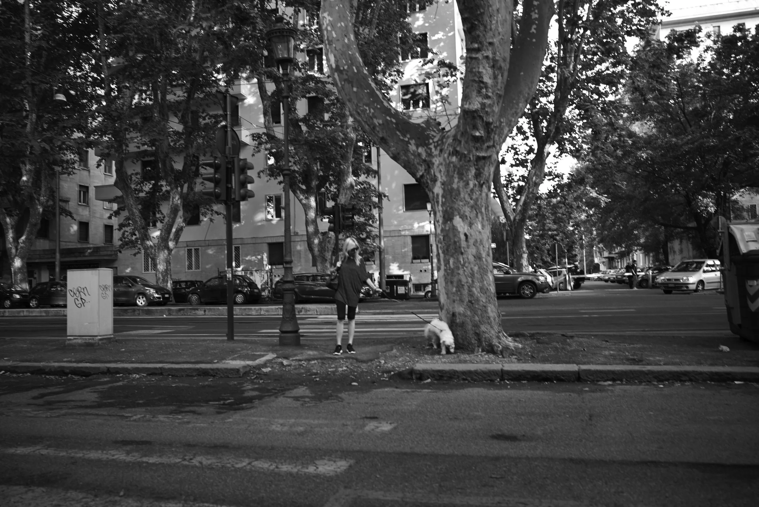 L1006925.jpg