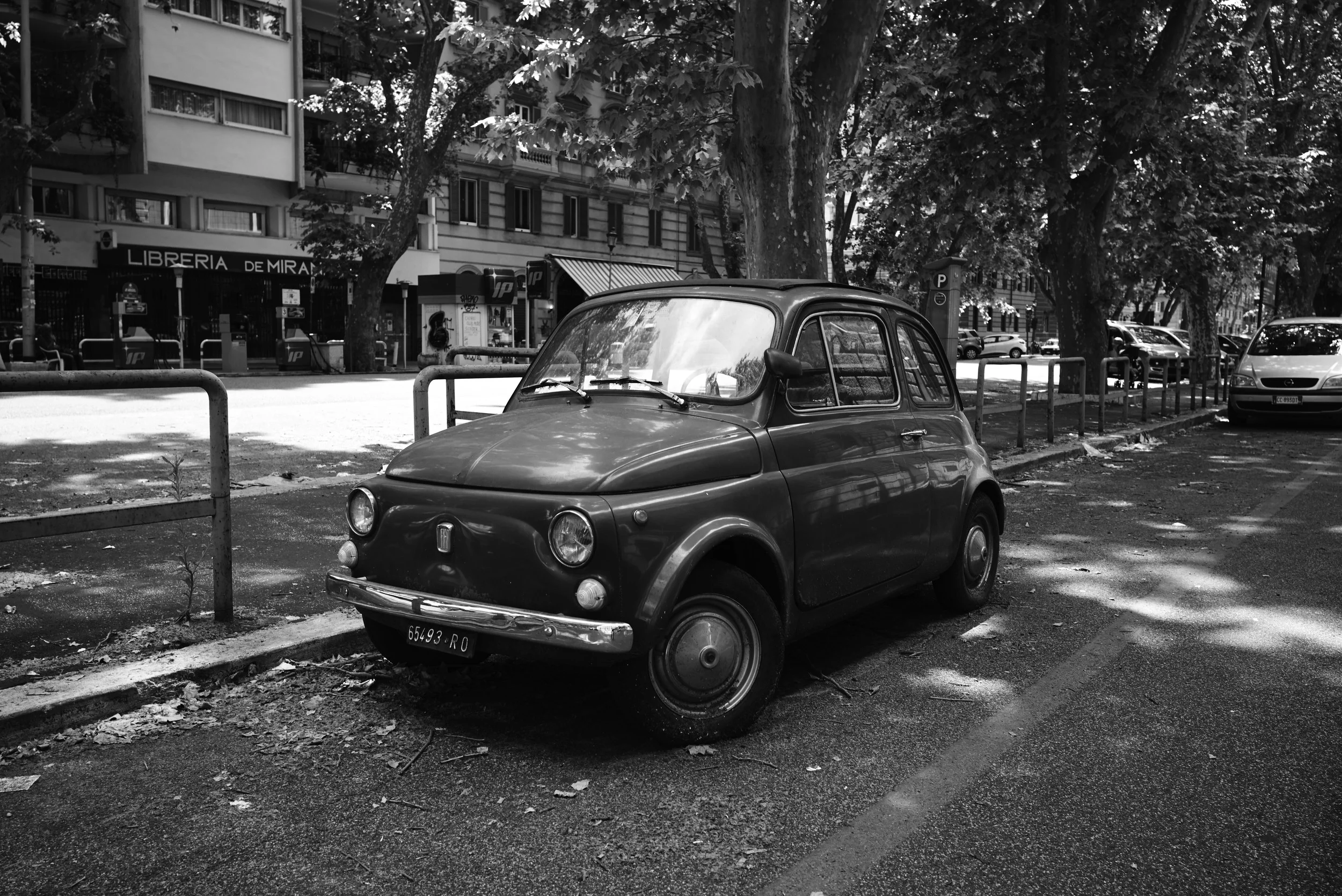 L1007259.jpg