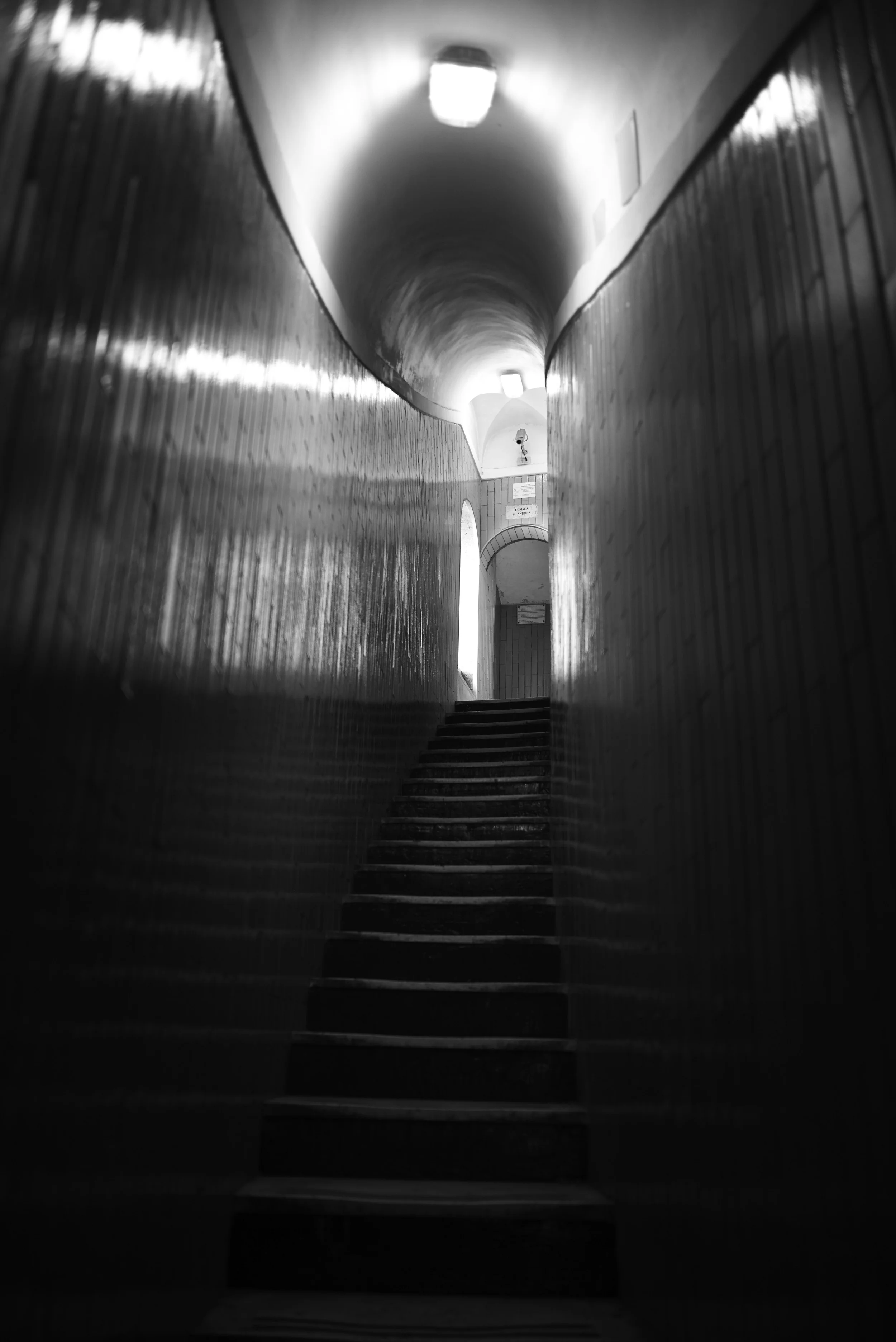 L1007317.jpg
