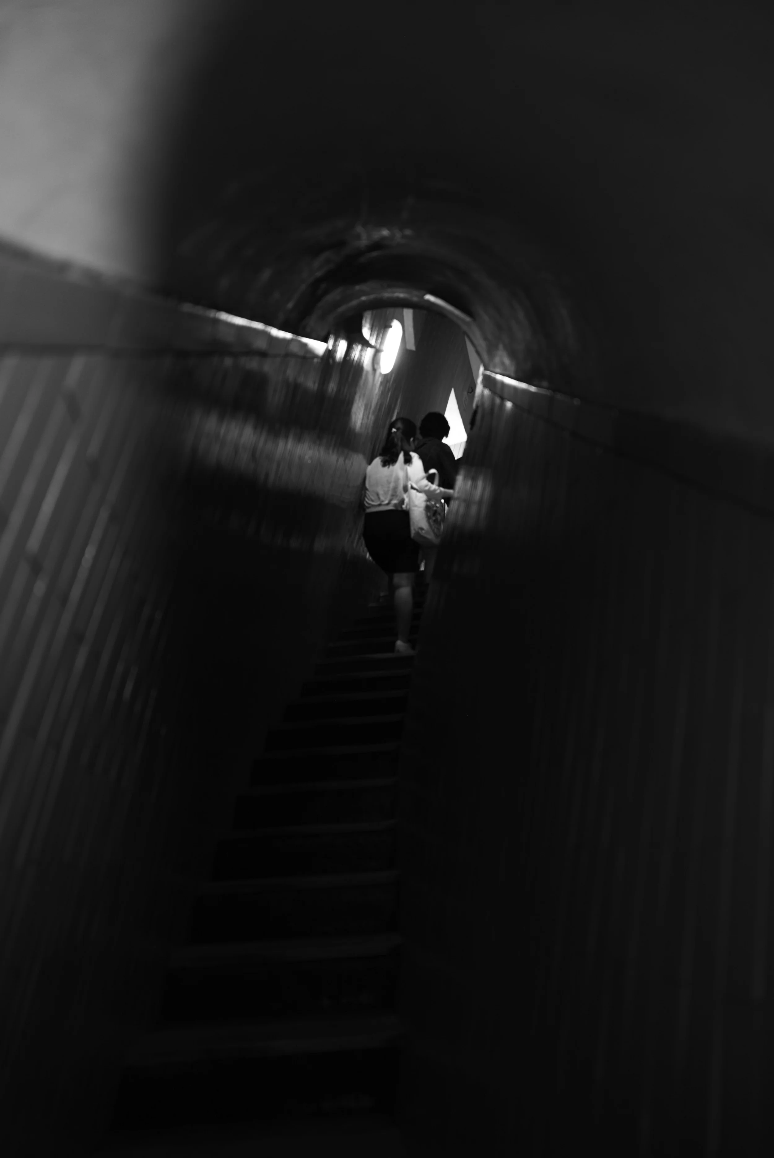 L1007322.jpg