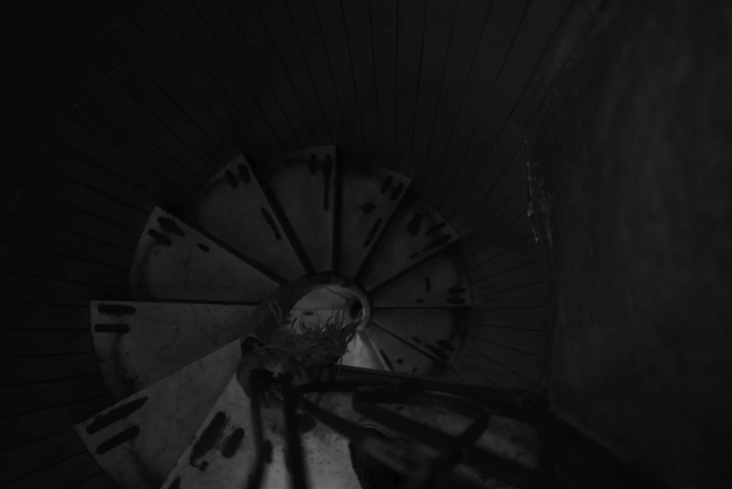L1007328.jpg